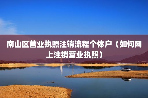 南山区营业执照注销流程个体户（如何网上注销营业执照）