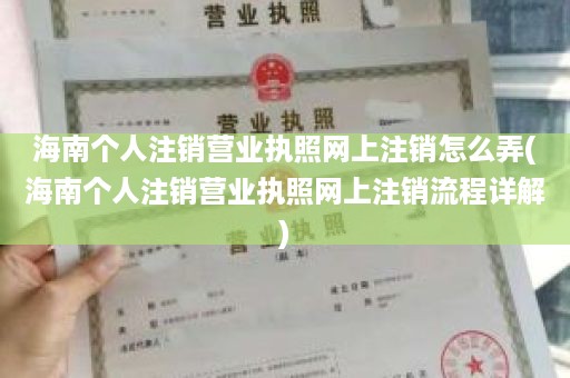海南个人注销营业执照网上注销怎么弄(海南个人注销营业执照网上注销流程详解)