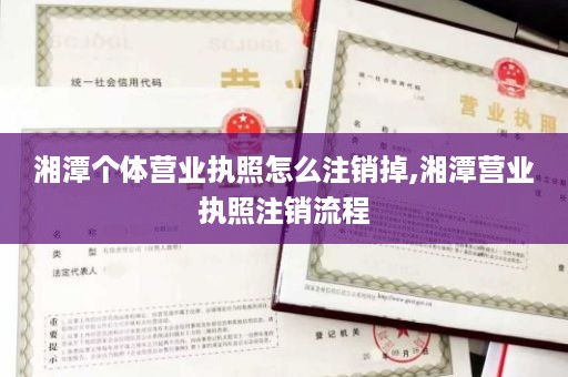 湘潭个体营业执照怎么注销掉,湘潭营业执照注销流程