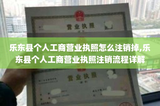 乐东县个人工商营业执照怎么注销掉,乐东县个人工商营业执照注销流程详解