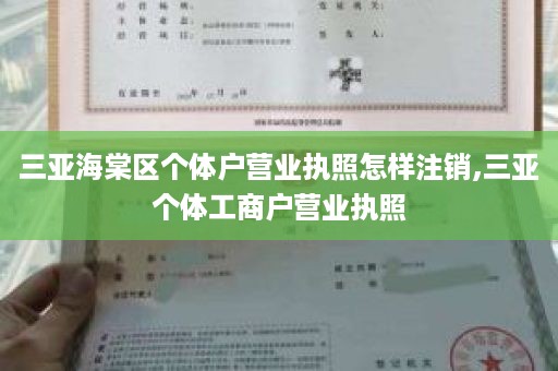 三亚海棠区个体户营业执照怎样注销,三亚个体工商户营业执照