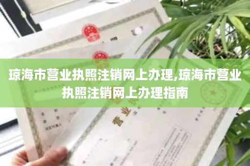 琼海市营业执照注销网上办理,琼海市营业执照注销网上办理指南