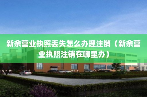 新余营业执照丢失怎么办理注销（新余营业执照注销在哪里办）