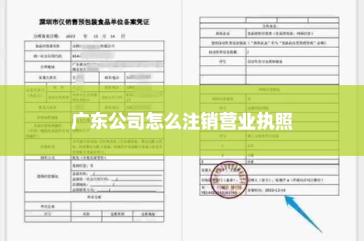 广东公司怎么注销营业执照