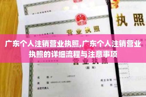 广东个人注销营业执照,广东个人注销营业执照的详细流程与注意事项