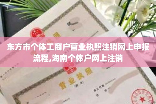 东方市个体工商户营业执照注销网上申报流程,海南个体户网上注销