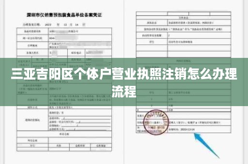 三亚吉阳区个体户营业执照注销怎么办理流程
