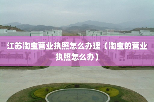 江苏淘宝营业执照怎么办理（淘宝的营业执照怎么办）