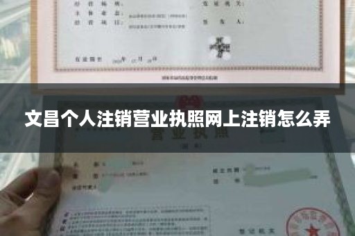 文昌个人注销营业执照网上注销怎么弄