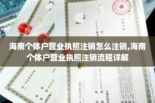海南个体户营业执照注销怎么注销,海南个体户营业执照注销流程详解