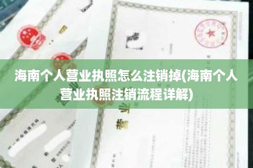 海南个人营业执照怎么注销掉(海南个人营业执照注销流程详解)
