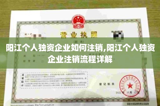 阳江个人独资企业如何注销,阳江个人独资企业注销流程详解