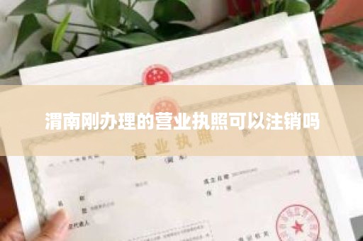 渭南刚办理的营业执照可以注销吗