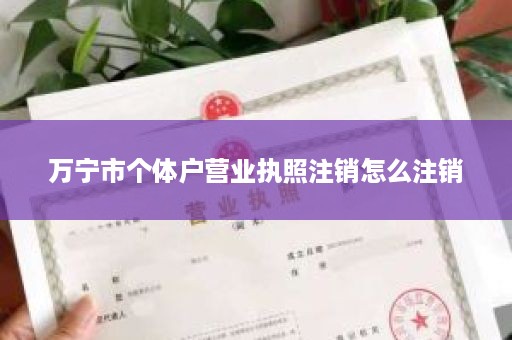 万宁市个体户营业执照注销怎么注销