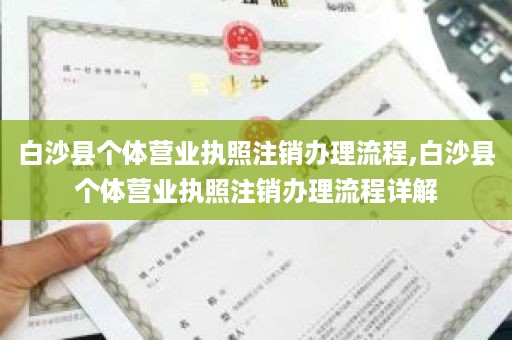 白沙县个体营业执照注销办理流程,白沙县个体营业执照注销办理流程详解