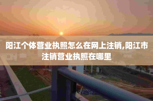 阳江个体营业执照怎么在网上注销,阳江市注销营业执照在哪里