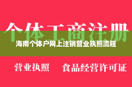 海南个体户网上注销营业执照流程