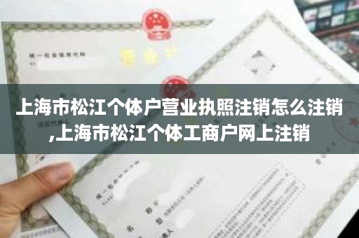 上海市松江个体户营业执照注销怎么注销,上海市松江个体工商户网上注销