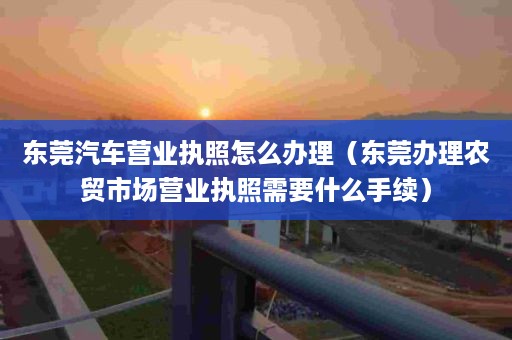 东莞汽车营业执照怎么办理（东莞办理农贸市场营业执照需要什么手续）