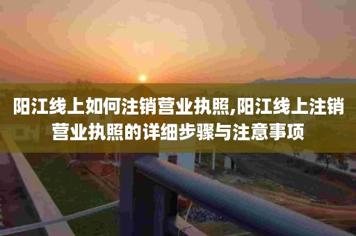 阳江线上如何注销营业执照,阳江线上注销营业执照的详细步骤与注意事项