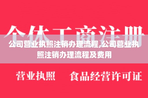 公司营业执照注销办理流程,公司营业执照注销办理流程及费用
