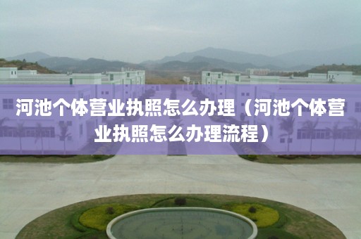 河池个体营业执照怎么办理（河池个体营业执照怎么办理流程）