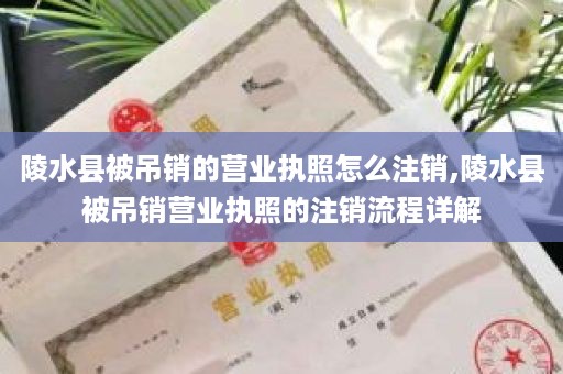 陵水县被吊销的营业执照怎么注销,陵水县被吊销营业执照的注销流程详解