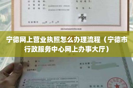 宁德网上营业执照怎么办理流程（宁德市行政服务中心网上办事大厅）