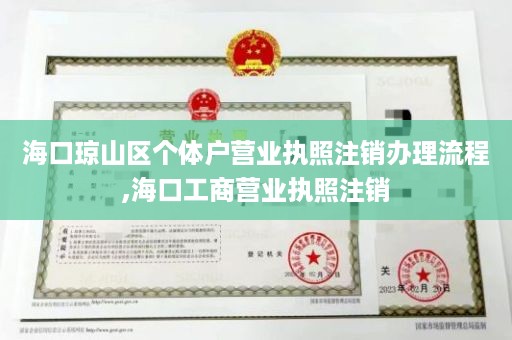 海口琼山区个体户营业执照注销办理流程,海口工商营业执照注销