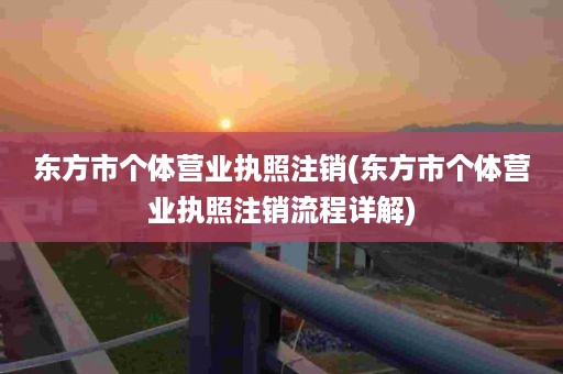 东方市个体营业执照注销(东方市个体营业执照注销流程详解)