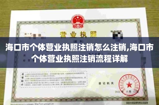 海口市个体营业执照注销怎么注销,海口市个体营业执照注销流程详解