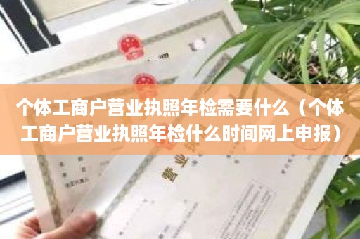 个体工商户营业执照年检需要什么（个体工商户营业执照年检什么时间网上申报）