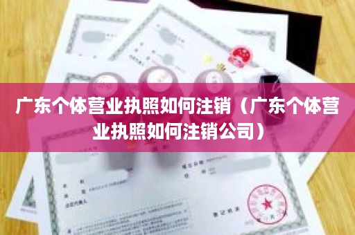 广东个体营业执照如何注销（广东个体营业执照如何注销公司）