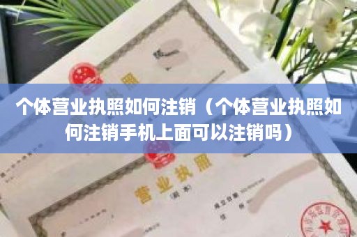 个体营业执照如何注销（个体营业执照如何注销手机上面可以注销吗）