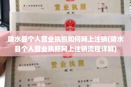陵水县个人营业执照如何网上注销(陵水县个人营业执照网上注销流程详解)