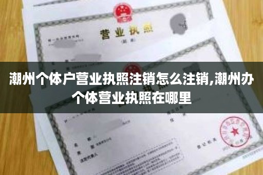 潮州个体户营业执照注销怎么注销,潮州办个体营业执照在哪里