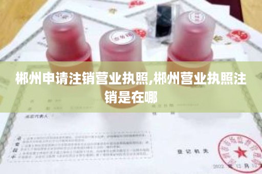 郴州申请注销营业执照,郴州营业执照注销是在哪