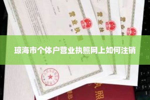 琼海市个体户营业执照网上如何注销