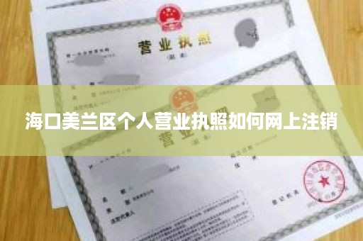 海口美兰区个人营业执照如何网上注销