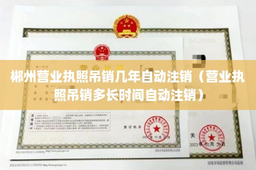 郴州营业执照吊销几年自动注销（营业执照吊销多长时间自动注销）