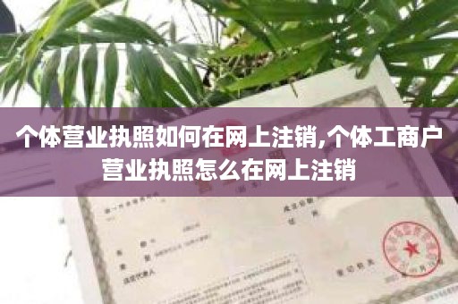 个体营业执照如何在网上注销,个体工商户营业执照怎么在网上注销
