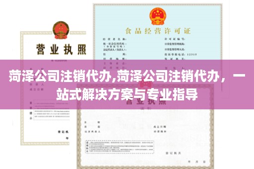 菏泽公司注销代办,菏泽公司注销代办，一站式解决方案与专业指导