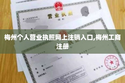 梅州个人营业执照网上注销入口,梅州工商注册