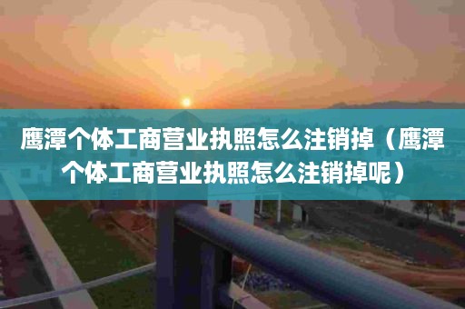 鹰潭个体工商营业执照怎么注销掉（鹰潭个体工商营业执照怎么注销掉呢）