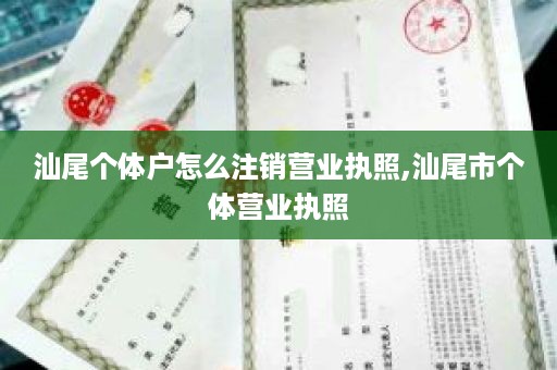 汕尾个体户怎么注销营业执照,汕尾市个体营业执照