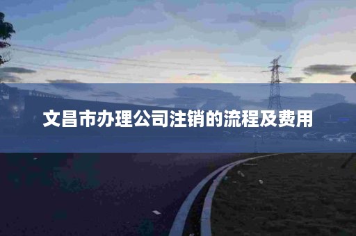 文昌市办理公司注销的流程及费用