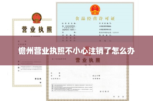儋州营业执照不小心注销了怎么办