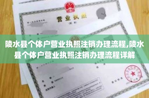 陵水县个体户营业执照注销办理流程,陵水县个体户营业执照注销办理流程详解