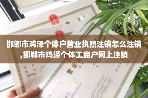 邯郸市鸡泽个体户营业执照注销怎么注销,邯郸市鸡泽个体工商户网上注销