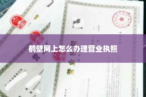鹤壁网上怎么办理营业执照